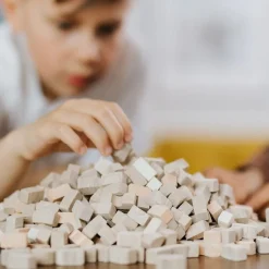 Brick Trick Travel - Łuk Triumfalny