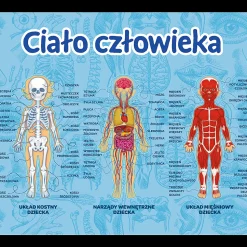 Gra dla dzieci Ciało człowieka Mistrz Wiedzy