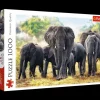 Puzzle 1000 el. Afrykańskie słonie