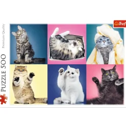 Puzzle 500 el. Kociaki