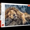 Puzzle 1000 el. Śpiący lew
