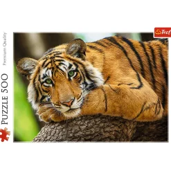 Puzzle 500 el. Portret tygrysa
