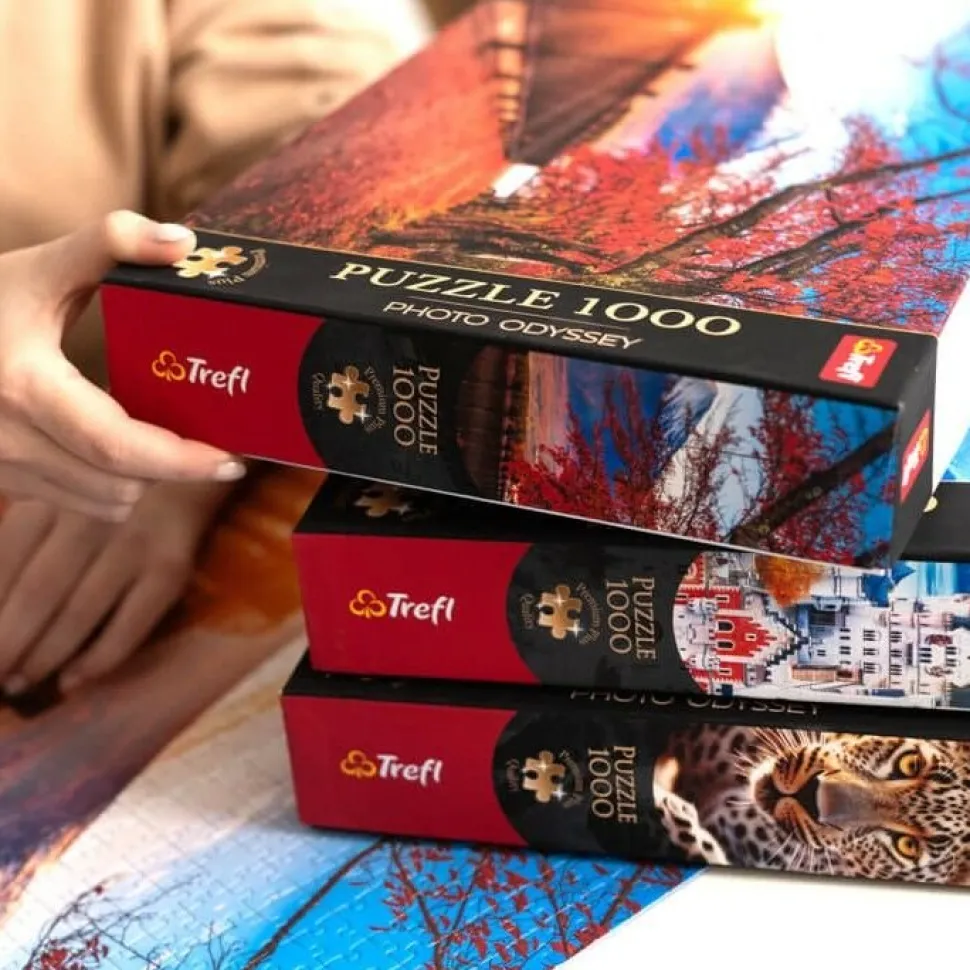 Puzzle Premium Plus Quality 1000 el. Photo Odyssey: Zamek Neuschwanstein, Niemcy