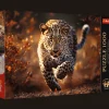 Puzzle Premium Plus Quality 1000 el. Photo Odyssey: Dziki Leopard